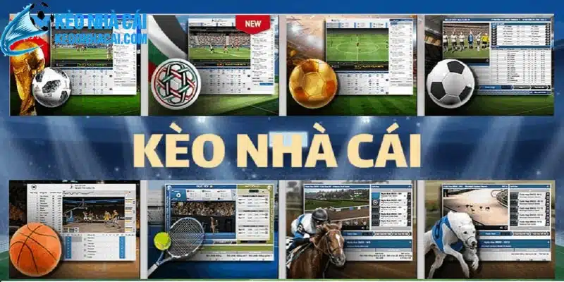 Keonhacai hoat dong voi gia tri cot loi mang den trai nghiem ly tuong cho anh em Keonhacai hoạt động với giá trị cốt lõi mang đến trải nghiệm lý tưởng cho anh em